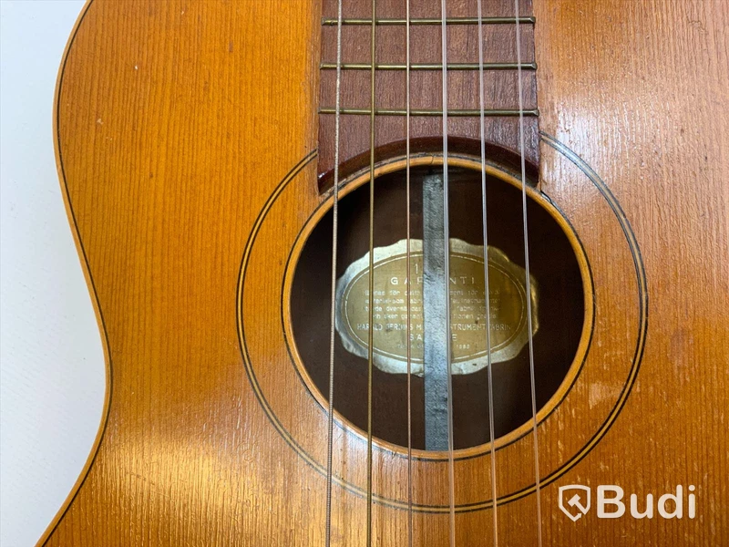 Gerdin nylon strängad gitarr inkl giggbag